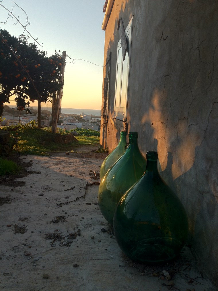 The "Enoarchaeology" is practiced here from the "terroir", the land located in an archaeological site to the ancient viniculture techniques used by the first colonies of Greeks who founded Cumae  