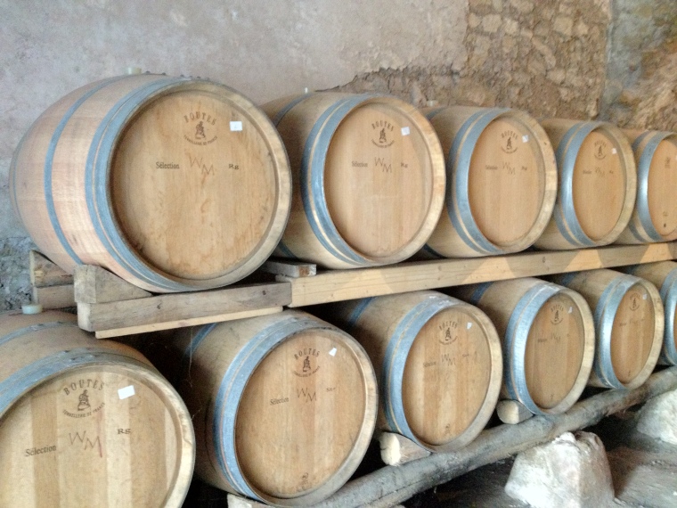 Piedirosso is aged for 18 months on French oak barrels at La Sibilla