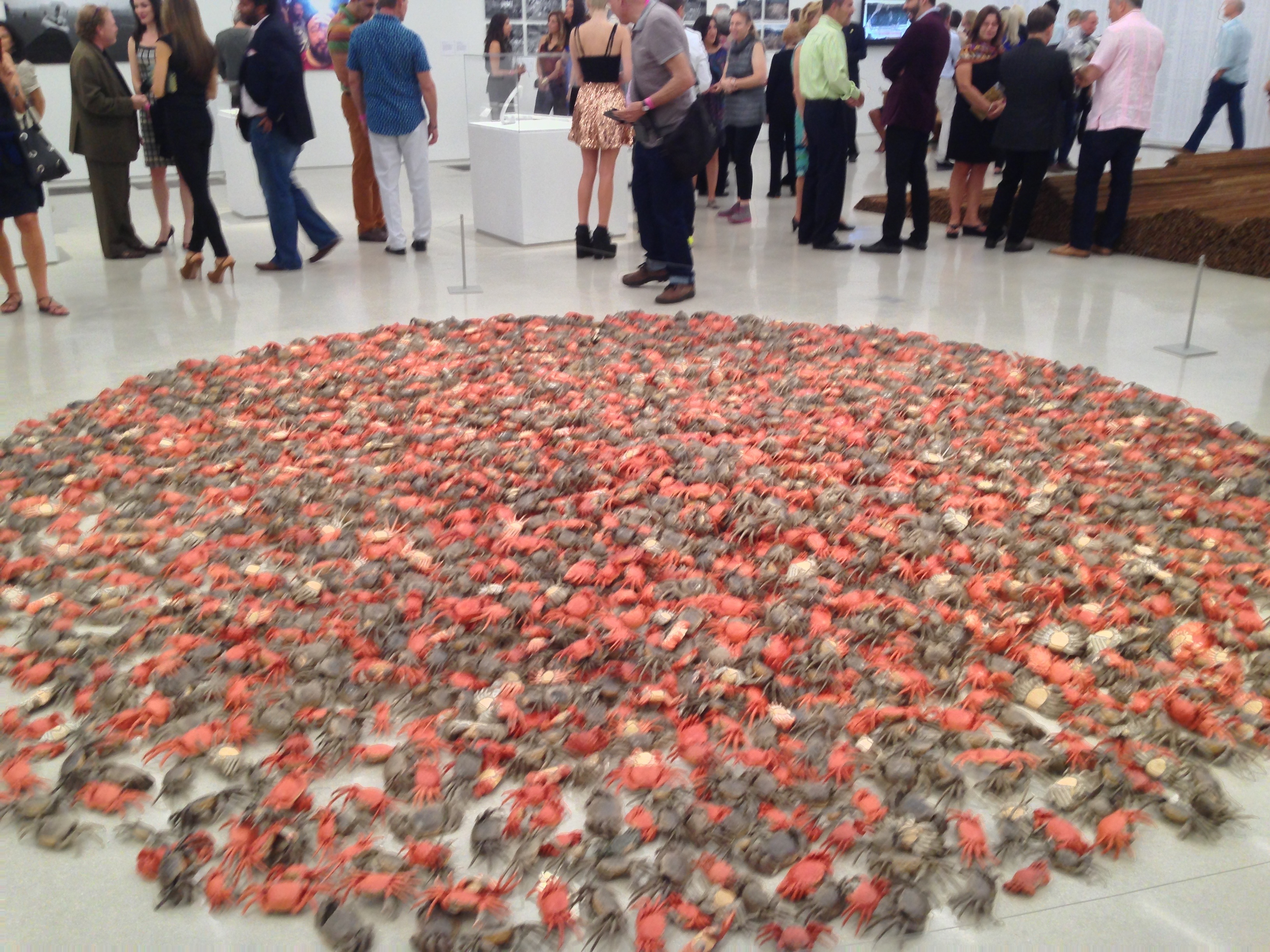 Piles of crabs installation by Chinese Master Ai Weiwei during the Opening reception of the PAMM  