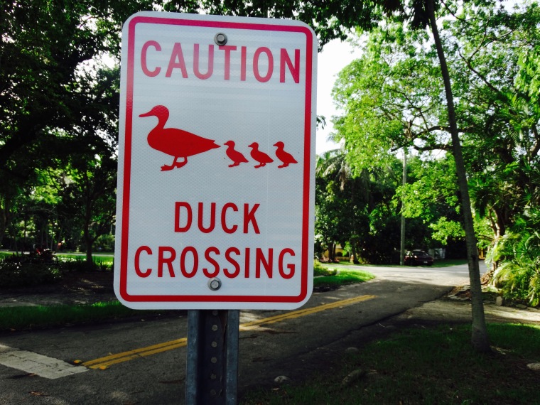 I thought this was also one of the cutest signs: Caution: Duck crossing